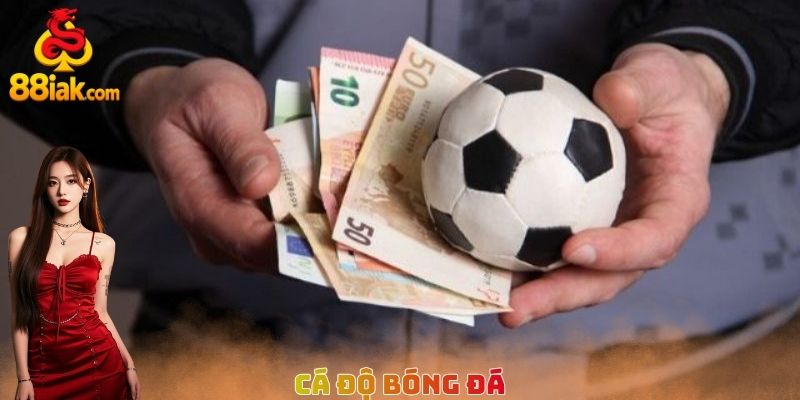 cá độ bóng đá