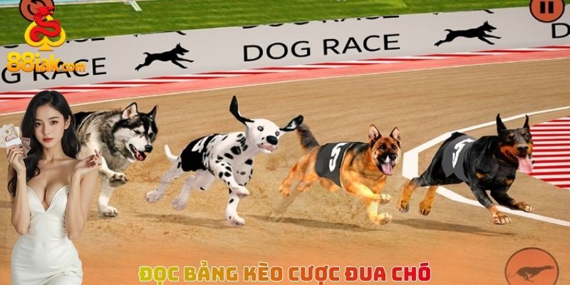 Đọc bảng kèo cược đua chó