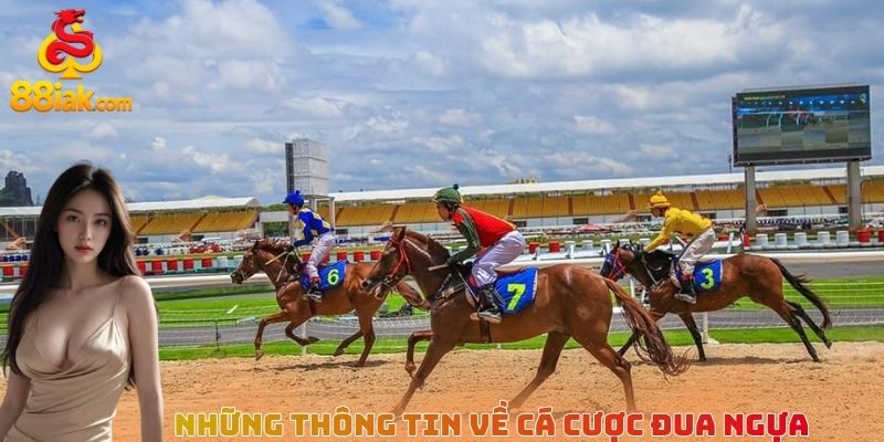 Những thông tin cơ bản về cá cược đua ngựa
