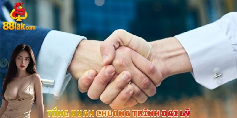 Tổng quan chương trình đại lý